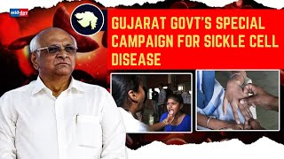 Sickle Cell Disease Gujarat Govt Runs a Special Campaign To Eliminate Sickle Cell Disease [upl. by Elisabetta]