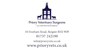 Priory Veterinary Surgeons Ltd [upl. by Aramois]