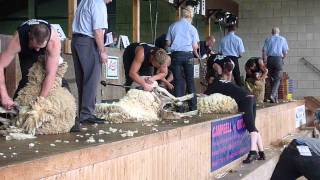 Highland Show 2013 Sheep shearing Senior final [upl. by Onurb611]