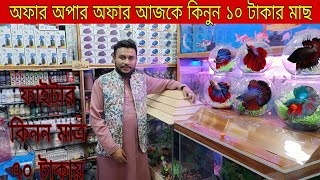 Aquarium Fish Price In katabon 2024🐠🌊 Aquarium Fish Price  Aquarium  AR Rahman aquarium 🐠🐠 [upl. by Aynatahs]