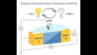 1 P3HT  PVDFHFP organic synaptic neuromorphic transistor preparation [upl. by Ideih599]