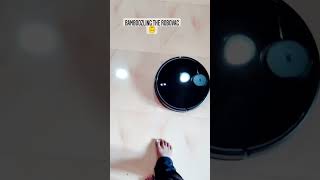 Bamboozling the Robovac 🤣 bamboozled robovac ohno [upl. by Adelric]