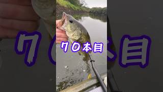 ホイットニーヒューストン ボディーガードトップウォーター カヤックフィッシングfishing 小貝川バス釣りbassfishing [upl. by Heigl]