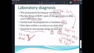 شرح Mycology Dermatophytes 2 [upl. by Pall968]