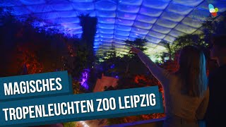 Magisches Tropenleuchten 2024 im Zoo Leipzig [upl. by Hamlani]