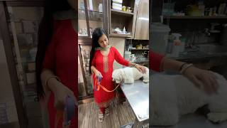 Hospital leke jana Pada Mortu ko Emergency Mai 🐶minivlog sanjhalikavlog dog doglover hospital [upl. by Rolat]