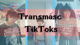 transmasc tiktoks [upl. by Dido321]