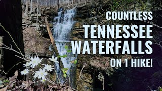 Sewanee Hiking with Tennessee Waterfalls [upl. by Curry]