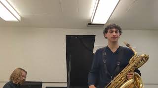 Stardust by Hoagy Carmichael  Adam Zilberman Bari Sax [upl. by Anih]