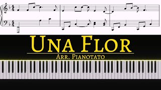 Una Flor  Sofia Carson  Piano cover by Pianotato [upl. by Aehsat]