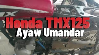 Honda TMX125 Wont Start shopboys HondaTMX125 stator problem [upl. by Elocin671]