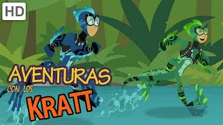 Aventuras con los Kratt  Monos Araña y Los Poderes de la Telaraña [upl. by Yenor]