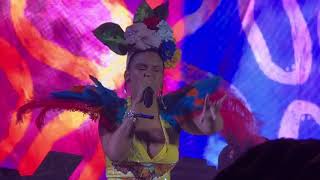 BOMBA ESTEREO  Pájaros HD 60719 ¡Intro Concierto [upl. by Attehcram765]