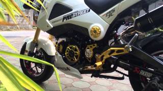 MSX 125 WHITE  GOLD Akrapovic Carbon HD 1080p  By bAkeryday [upl. by Htnicayh]