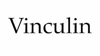 How to Pronounce Vinculin [upl. by Mcgannon]