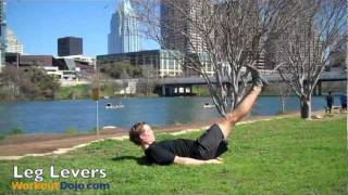 Leg Levers  Ab exercise from Workout Dojo [upl. by Ycnaffit40]