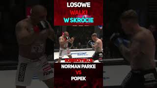 Norman Parke VS Popek  W Skrócie shorts normanparke popek famemma walka [upl. by Yhtur]