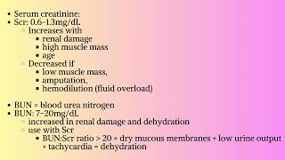 Renal Pharmacology [upl. by Zelten]