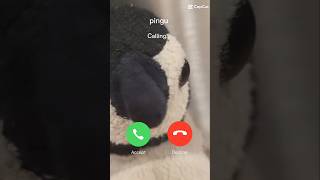 Pingus calling you [upl. by Aserret]