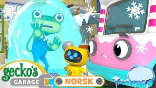 Gecko blir fryst  Geckos Garage Norske  Tegneserier for barn  Hele episoder på norsk [upl. by Ytisahcal]