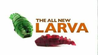 HEXBUG Larva [upl. by Tlok]