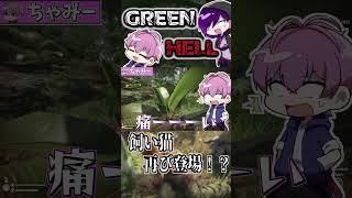 【GREEN HELL】最後まで飼い猫に遊ばれるちゃみー ゲーム実況 グリーンヘル greenhell [upl. by Asined]