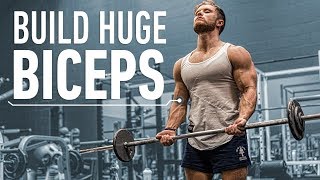 How To Build Huge Biceps Optimal Training Explained [upl. by Hoebart]