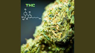 THC [upl. by Nelda673]