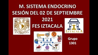 M Sistema Endocrino Sesión del Jueves 02 de Septiembre del 2021 [upl. by Aihsenat]