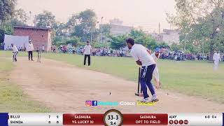 Town park cricket league session 8 यमुनानगर [upl. by Isola289]