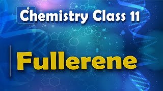 Fullerene  P Block Elements  Chemistry Class 11 [upl. by Kean]