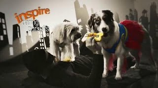 TV Spot  PetSmart  Pet Costumes  Halloween 2014 Treat Your Pet Sale  Inspired By Pets [upl. by Sug]