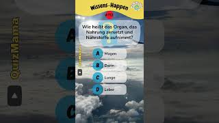 WissensHappen Nr112 – Teste dein Allgemeinwissen shorts quiz allgemeinwissen [upl. by Cianca]