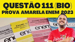 QUESTÃO 111 ENEM 2023 PROVA AMARELA 2 DIA  ANEL DE MALPIGHI [upl. by Eigna717]