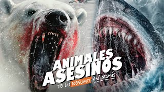 ¿Cómo Evoluciono El Cine De ANIMALES ASESINOS  TeLoResumo [upl. by Caassi]