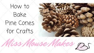 How to Bake Pinecones to Use Them for Crafts [upl. by Dosia]