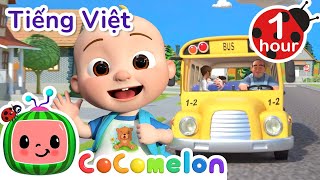 Những Bánh Xe Buýt  CoComelon Tiếng Việt  Nhạc cho Trẻ em  Bài hát Ru ngủ [upl. by Dominick]