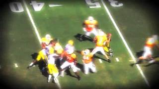 LSU 2011 Cotton Bowl Video [upl. by Hoang166]