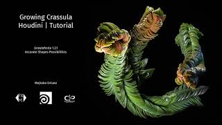 Growing Crassula Pyramidalis Tutorial  Sidefx Houdini  GrowInfinite [upl. by Ahsym]