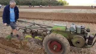 trusty tractor 16th Cambridgeshire county ploughing championship [upl. by Mosley]