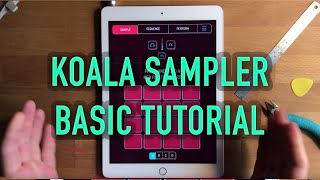 Koala Sampler Basic Tutorial [upl. by Ahsinrat337]