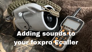 How to add sounds to your Foxpro electronic caller hunting outdoor wildlife foxpro [upl. by Yarg]