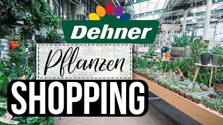 PFLANZEN SHOPPING im größten DEHNER Kommt mit zu einer Dehner NEUERÖFFNUNG [upl. by Raamal174]