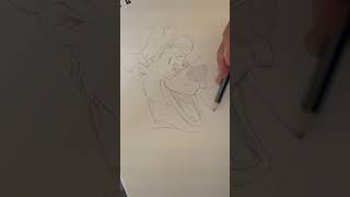 TaleSpin disney disneylife talespin baloo junglebook timelapse disneyworld disneyland [upl. by Cletis]