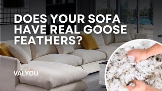 Does your sofa have Real Goose Feathers [upl. by Fan544]