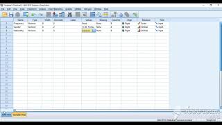 SPSS Tutorial Arabic11Weight CasesRosabelle CHEDID [upl. by Lamok]