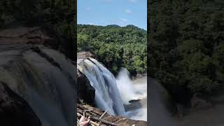 Enna satham song kamalhassan ilayaraja spbhits athirapally falls trending shorts nature [upl. by Edythe]