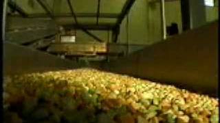 The Slipstick Food Conveyor System by TripleS Dynamics [upl. by Ttnerb]