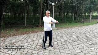 1108 Forma Yang Tai Chi 108 Posturas individuales – Inicio del Taijiquan [upl. by Anomer]