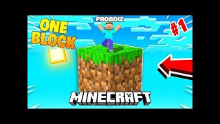 minecraft su un blocco ONEBLOCK EP1  ITA [upl. by Evangelia]